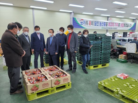 딸기공선회 견학 대표 이미지