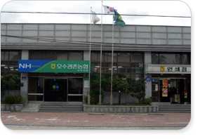 오수관촌농협 지사지점